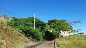 Land for sale in San Roque, Cebu