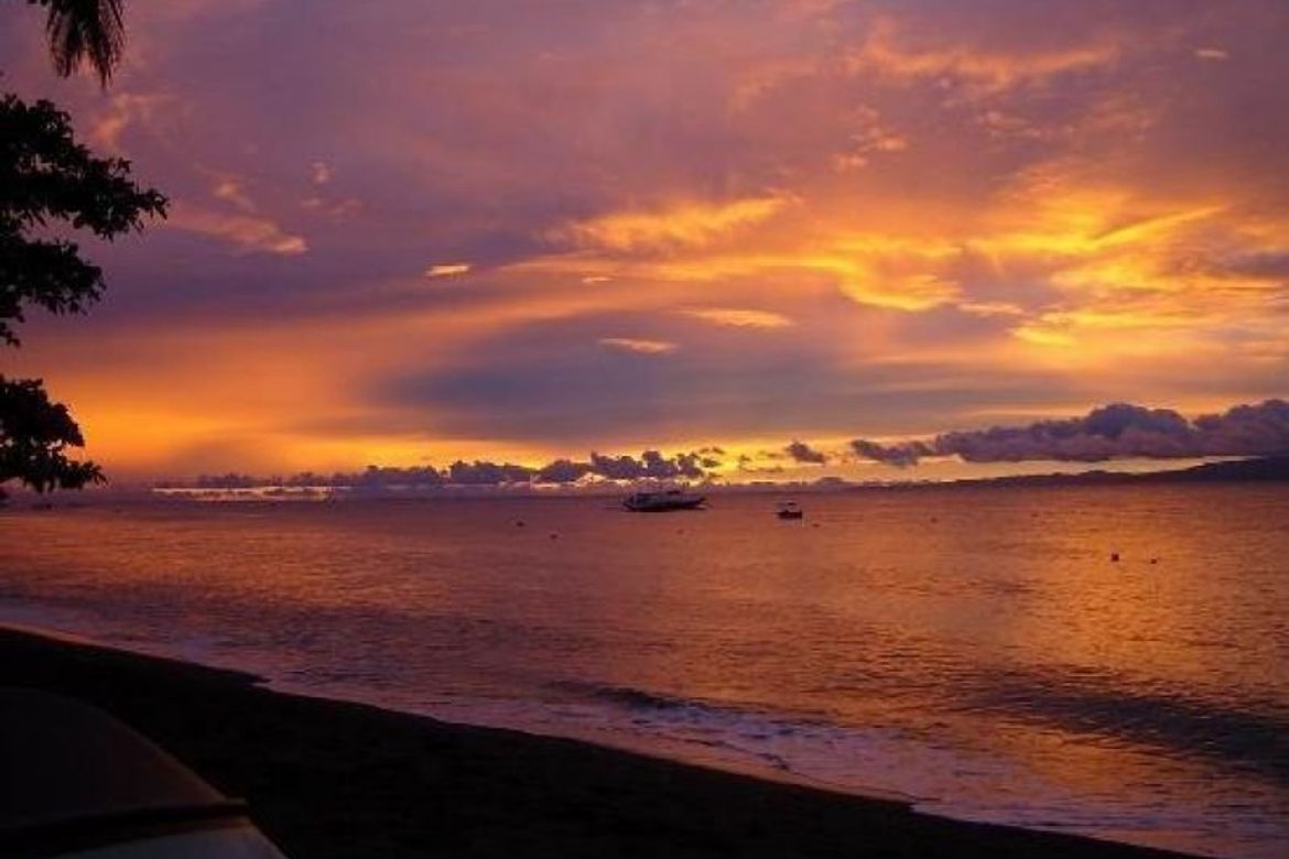 Dauin Beach Front Property For Sale near Apo Isand and Oslob 📌 Land for