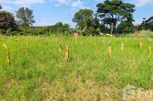 Land for sale in Tha Sala, Chiang Mai