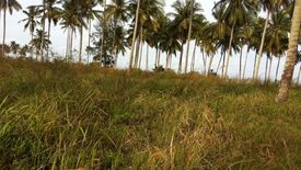 Land for sale in Johor Bahru, Johor