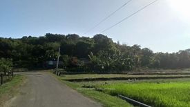 Land for sale in Malimanga, Zambales