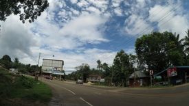 Land for sale in Danao, Bohol