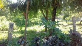 Land for sale in Cogon, Cebu