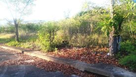 Land for sale in San Roque, Cebu