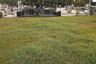 Land for sale in Guadalupe, Cebu