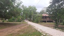 Land for sale in Tinago, Bohol