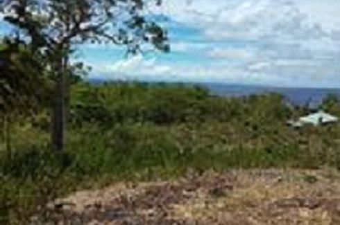 Land for sale in Maite, Siquijor