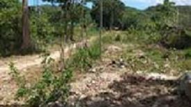 Land for sale in Maite, Siquijor