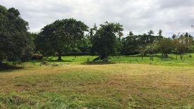 Land for sale in Pulong Santa Cruz, Laguna