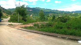 Land for sale in Pulangbato, Cebu