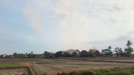 Cần bán Đất nền  tại Cẩm Thanh, Hội An, Quảng Nam