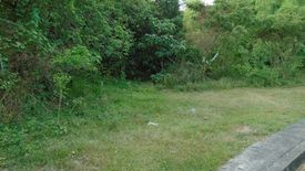 Land for sale in Pulangbato, Cebu