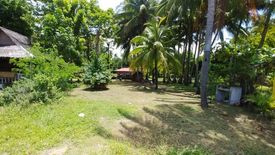 Land for sale in Mayabon, Negros Oriental