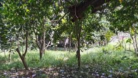 Land for sale in Barangay VIII, Negros Occidental