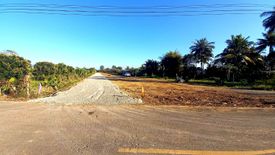 Land for sale in Khua Mung, Chiang Mai