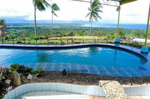 2 Bedroom House for sale in Silab, Negros Oriental