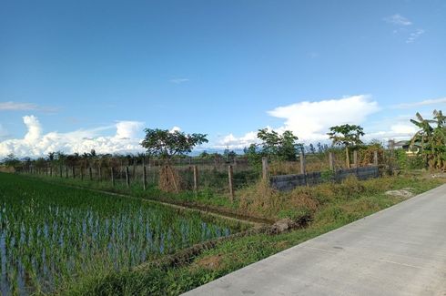 Land for sale in Tampac I, Nueva Ecija