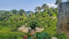 Land for sale in Agsungot, Cebu