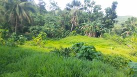 Land for sale in Agsungot, Cebu