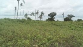 Land for sale in Tungasan, Cebu
