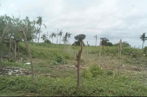 Land for sale in Tungasan, Cebu