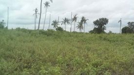 Land for sale in Tungasan, Cebu