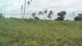 Land for sale in Tungasan, Cebu