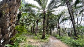 ขายที่ดิน ใน หล่อยูง, ตะกั่วทุ่ง