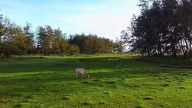 Land for sale in San Jose, Zambales