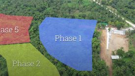 Land for sale in Daine I, Cavite