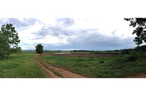 Land for sale in Malika, Chiang Mai