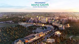 Land for sale in Gov. Ferrer Poblacion, Cavite