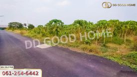 Land for sale in Khao Cha-ngum, Ratchaburi