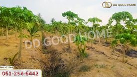 Land for sale in Khao Cha-ngum, Ratchaburi