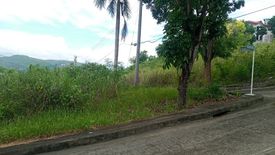 Land for sale in Camugao, Cebu
