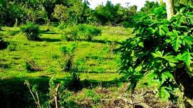 Land for sale in Upli, Cavite