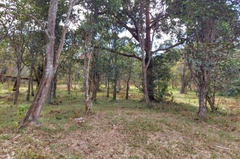 Land for sale in Bentong, Pahang