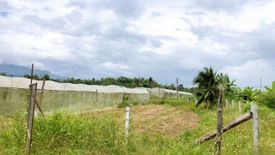 Land for sale in Mae Pang, Chiang Mai