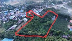 Land for sale in Kut Pong, Loei