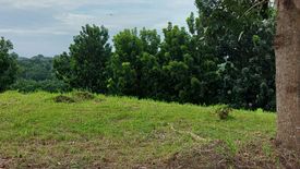 Land for sale in Mabuhay, Cavite