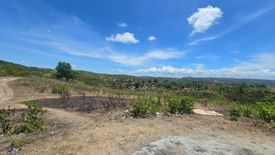 Land for sale in Guadalupe, Cebu