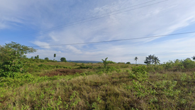 Land for sale in Guadalupe, Cebu