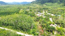 ขายที่ดิน ใน บางม่วง, ตะกั่วป่า