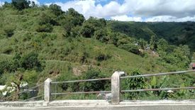 Land for sale in Maghaway, Cebu