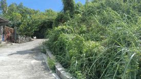 Land for sale in Maghaway, Cebu