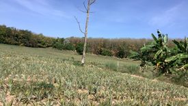 Land for sale in Nong Lalok, Rayong