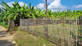 Land for sale in Tha Sala, Chiang Mai