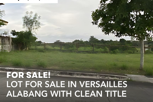 Land for sale in Versailles Alabang, Almanza Dos, Metro Manila