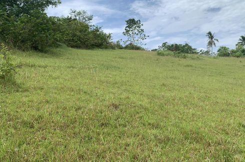 Land for sale in Zaragosa, Cebu