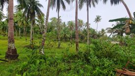 Land for sale in Mag-Aso, Bohol